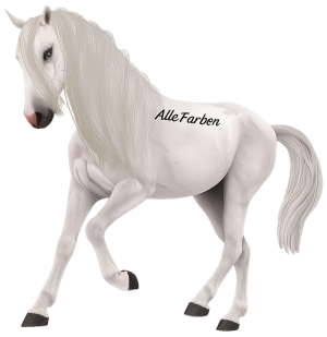 Pferd_Weiss